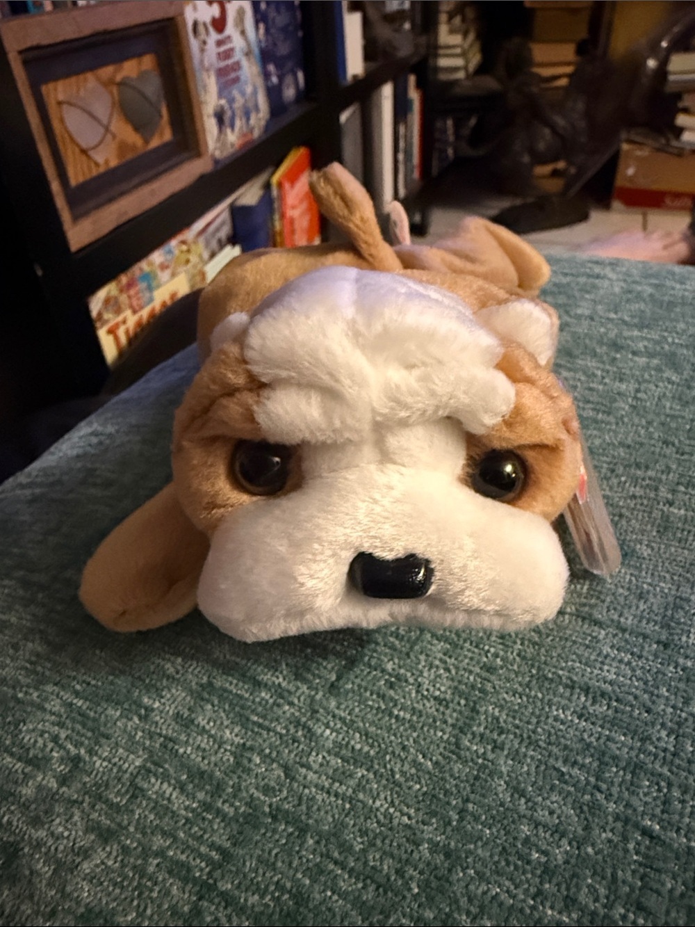 Ty Beanie Baby Wrinkles the Bulldog 1996 new with mint tag, stuffed animal.
